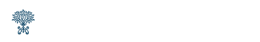 Abilityアビリティブラッシュアップスクール